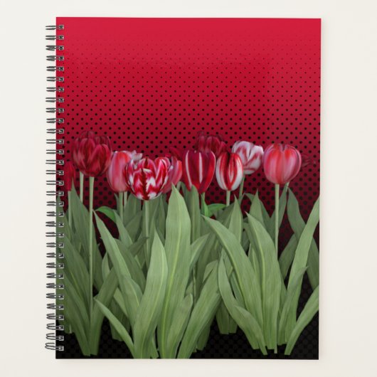 Rote Tulips auf Gradient Planer (Vorderseite)