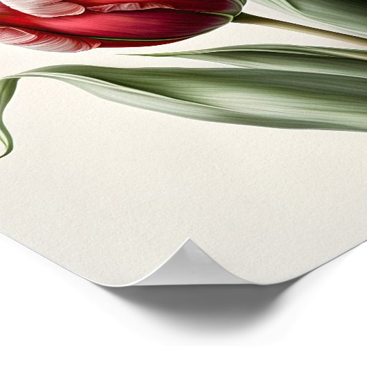 Rote Tulips Blume Art Print Poster (Ecke)