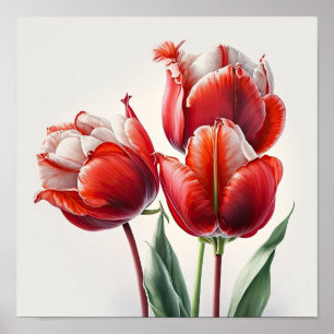 Rote Tulips Blume Art Print Poster