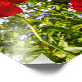 Rote Tulips in den Feldern Fotodruck (Ecke)