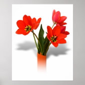Rote Tulips in Vase Poster (Vorne)