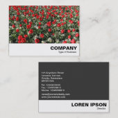 Rote Tulips und Primrosen Visitenkarte (Vorne/Hinten)