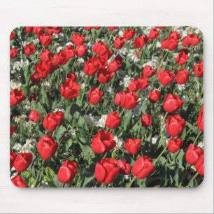 Rote Tulips und weiße Primrosen Mousepad