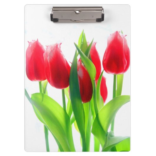 Rote Tulissen auf Weiß Klemmbrett (Vorderseite)
