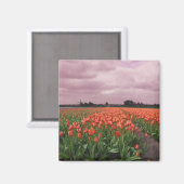 Rote Tulissen Landschaft Magnet (Vorderseite/Rückseite)