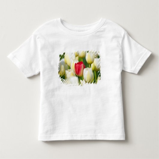 Rote Tulpe auf einem Gebiet der weißen Tulpen Kleinkind T-shirt (Vorderseite)