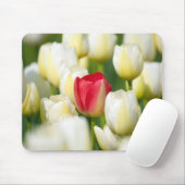 Rote Tulpe auf einem Gebiet der weißen Tulpen Mousepad (Mit Mouse)