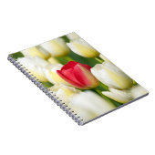 Rote Tulpe auf einem Gebiet der weißen Tulpen Notizblock (Rechte Seite)