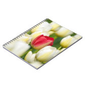 Rote Tulpe auf einem Gebiet der weißen Tulpen Notizblock (Linke Seite)