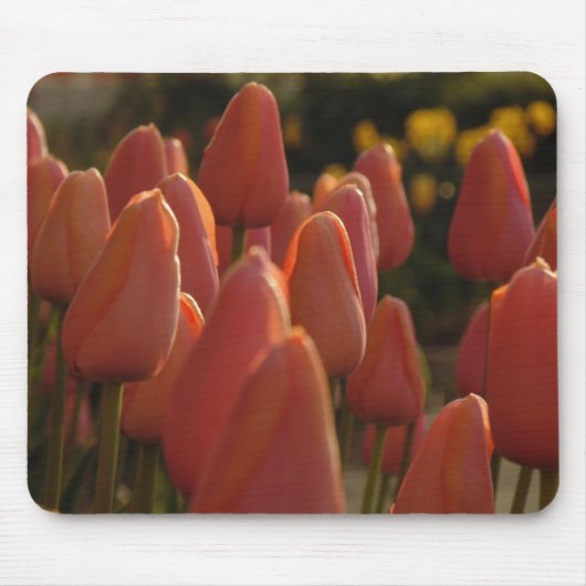 Rote Tulpe Blume Mouse Pad Mousepad (Vorne)