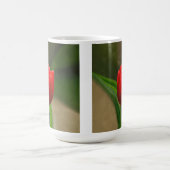 Rote Tulpe-Frühlings-Blume Kaffeetasse (Mittel)