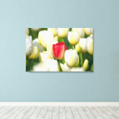 Rote Tulpe in einem Feld mit weißen Tulpen Leinwanddruck (Insitu (Holzboden))