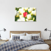 Rote Tulpe in einem Feld mit weißen Tulpen Leinwanddruck (Insitu (Schlafzimmer))