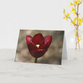 Rote Tulpe Karte (Gelbe Blume)