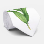 Rote Tulpe-Krawatte Krawatte (Gerollt)