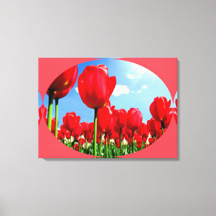 Rote Tulpe Leinwanddruck