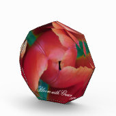 Rote Tulpe Makrofoto Kunst Block (Rechts)