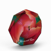 Rote Tulpe Makrofoto Kunst Block (Links)