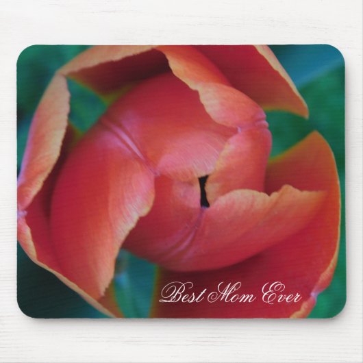 Rote Tulpe Makrofoto-Mauspad Mousepad (Vorne)