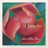 Rote Tulpe Makrofoto Personalisierter Untersetzer (Vorderseite)