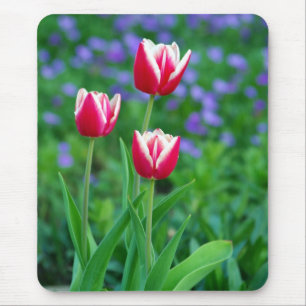 Rote Tulpe-Mausunterlage Mousepad