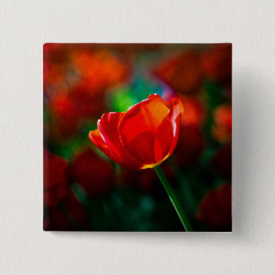 Rote Tulpe - Mysterium der Blüte Button
