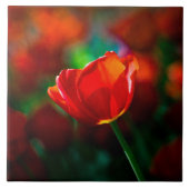 Rote Tulpe - Mysterium der Blüte Fliese (Vorderseite)