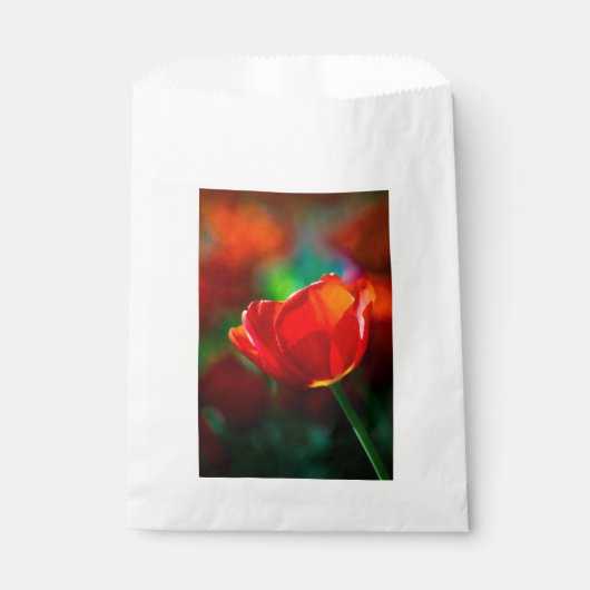 Rote Tulpe - Mysterium der Blüte Geschenktütchen (Vorderseite)