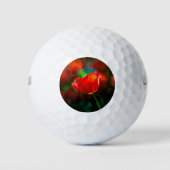 Rote Tulpe - Mysterium der Blüte Golfball (Vorderseite)
