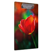 Rote Tulpe - Mysterium der Blüte Klemmbrett (Rechts)