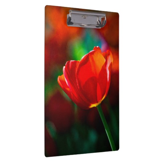 Rote Tulpe - Mysterium der Blüte Klemmbrett (Rechts)