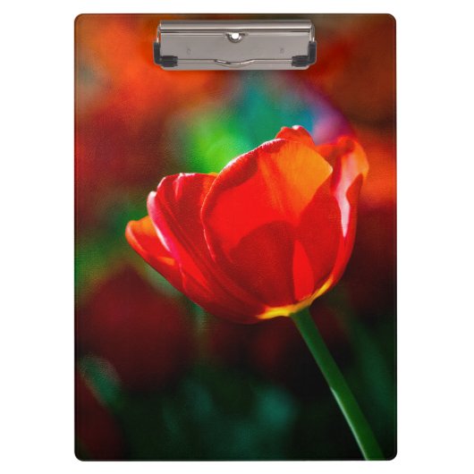 Rote Tulpe - Mysterium der Blüte Klemmbrett (Vorderseite)
