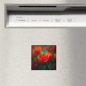 Rote Tulpe - Mysterium der Blüte Magnet (In Situ (Geschirrspüler))