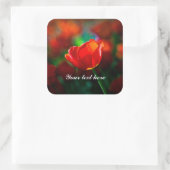 Rote Tulpe - Mysterium der Blüte Quadratischer Aufkleber (Tasche)