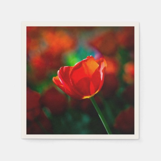 Rote Tulpe - Mysterium der Blüte Serviette (Vorderseite)