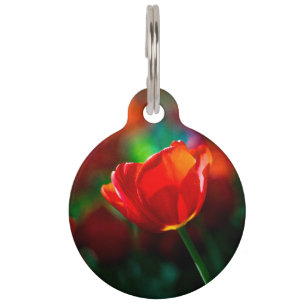 Rote Tulpe - Mysterium der Blüte Tiernamensmarke