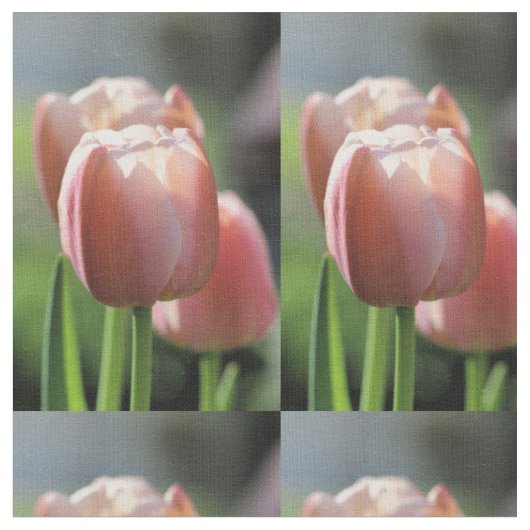 Rote Tulpe Stoff (Nahaufnahme)