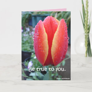 Rote Tulpe und Regentropfen florale Sei Dir selbst Karte