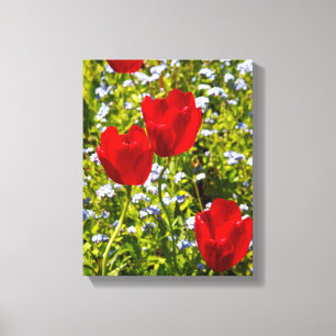 Rote Tulpen auf dem Feld Leinwanddruck