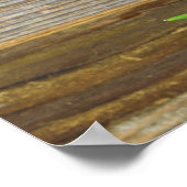 Rote Tulpen aus rustikalem Holz Poster (Ecke)