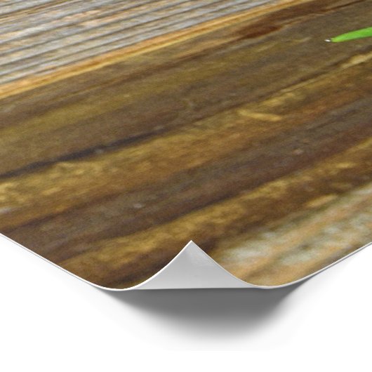 Rote Tulpen aus rustikalem Holz Poster (Ecke)