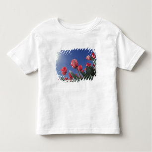 Rote Tulpen aus sehr geringem Winkel, Cincinnati, Kleinkind T-shirt