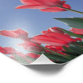 Rote Tulpen aus sehr niedrigem Winkel, Cincinnati, Fotodruck (Ecke)