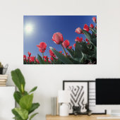 Rote Tulpen aus sehr niedrigem Winkel, Cincinnati, Poster (Heimbüro)