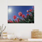 Rote Tulpen aus sehr niedrigem Winkel, Cincinnati, Poster (Küche)