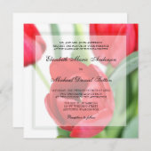 Rote Tulpen, die Einladungen Wedding sind (Vorne/Hinten)