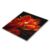Rote Tulpen dunkler Hintergrund Fliese (Seite)