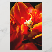 Rote Tulpen dunkler Hintergrund Flyer (Hinten)