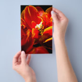 Rote Tulpen dunkler Hintergrund Flyer (Handgriff)