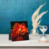 Rote Tulpen dunkler Hintergrund Fotoplatte (InSitu)